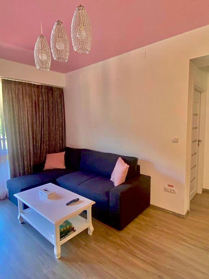 Sweet Pink By Miro Apartment Sinaia Esterno foto