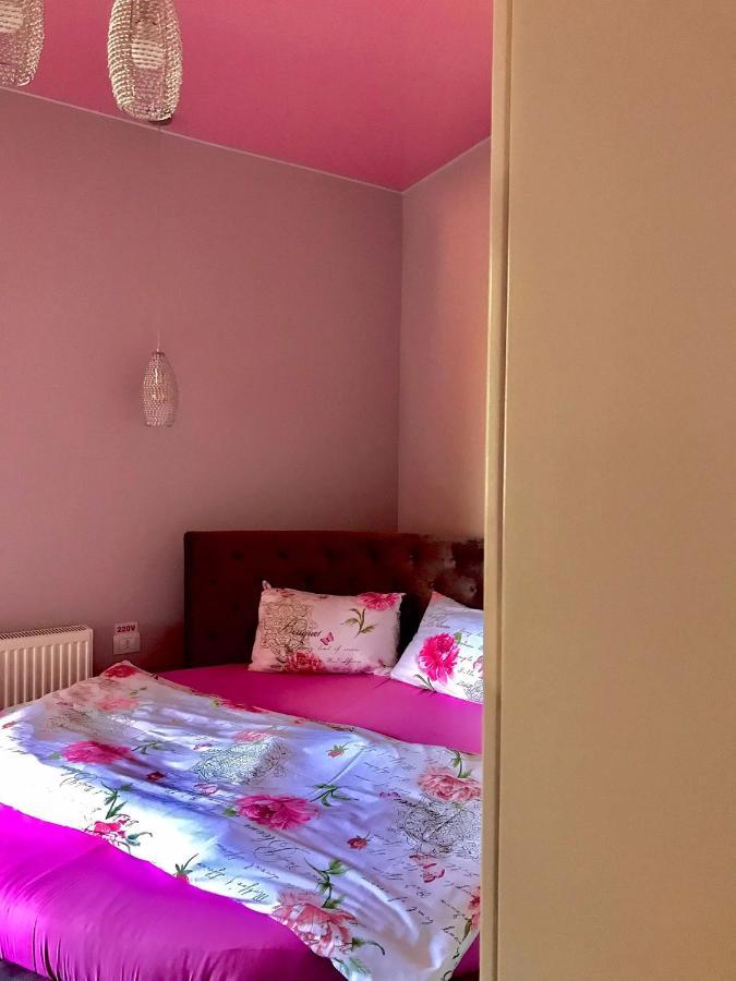 Sweet Pink By Miro Apartment Sinaia Esterno foto
