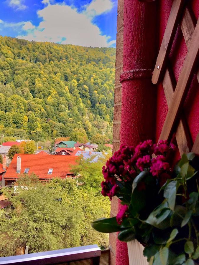 Sweet Pink By Miro Apartment Sinaia Esterno foto