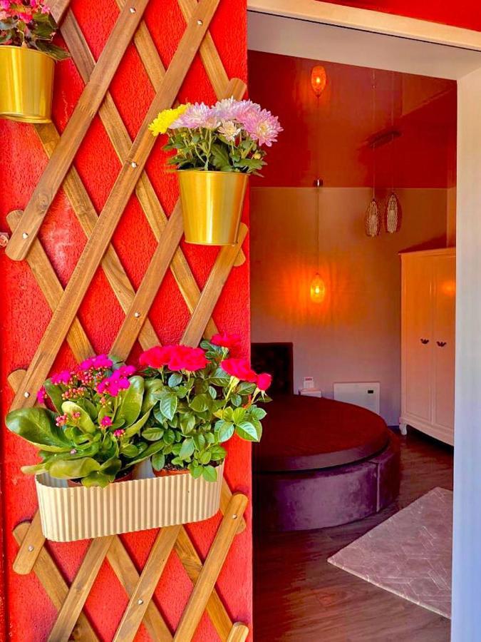 Sweet Pink By Miro Apartment Sinaia Esterno foto