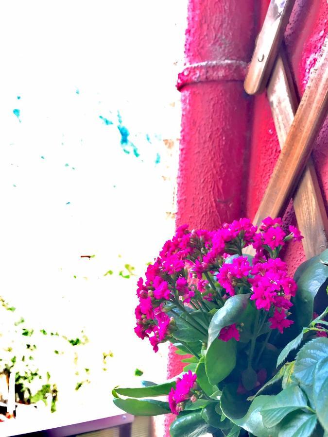Sweet Pink By Miro Apartment Sinaia Esterno foto