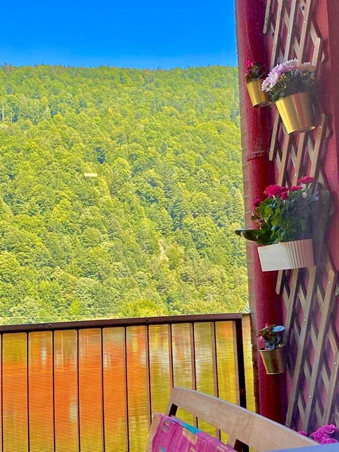 Sweet Pink By Miro Apartment Sinaia Esterno foto