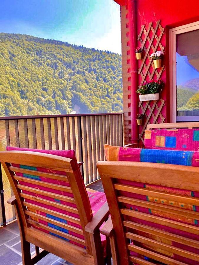 Sweet Pink By Miro Apartment Sinaia Esterno foto