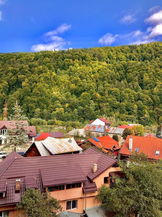 Sweet Pink By Miro Apartment Sinaia Esterno foto